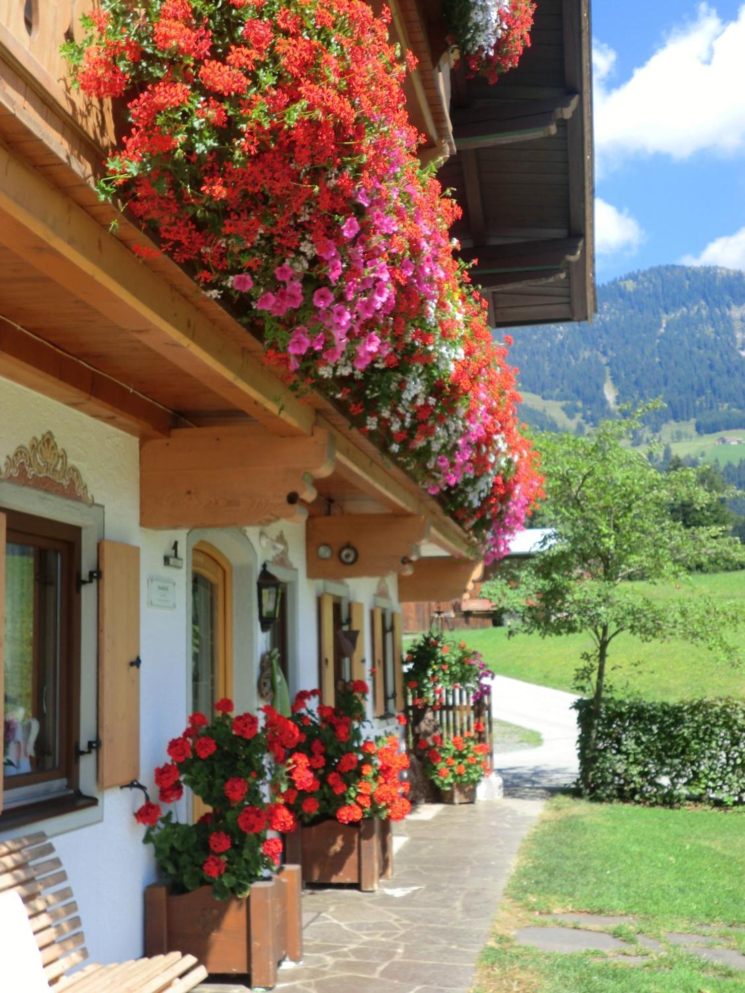 Vornbichlhof Daire Fieberbrunn Dış mekan fotoğraf