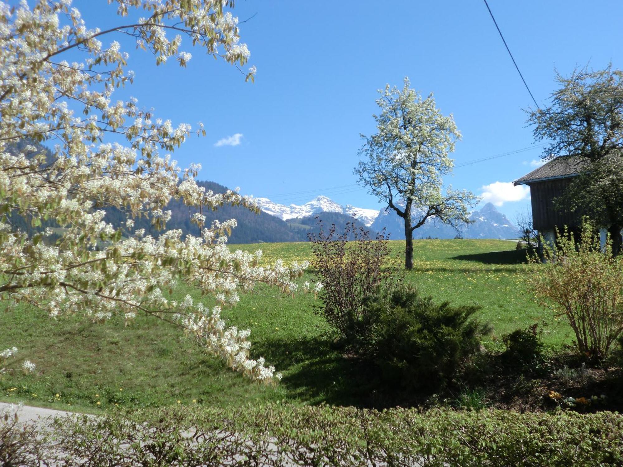 Vornbichlhof Daire Fieberbrunn Dış mekan fotoğraf